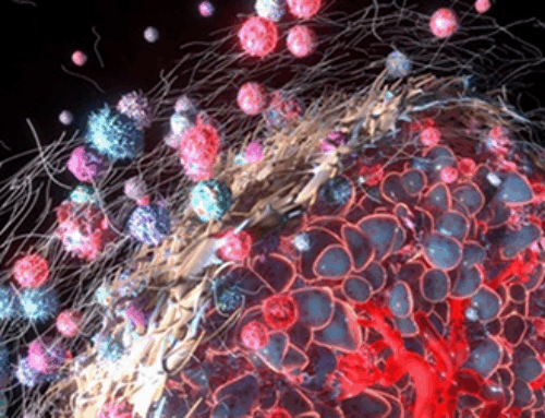 [68Ga]FAPI-46 Phase 2 clinical development updates