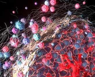 FAPI-46 Phase 2 clinical development updates