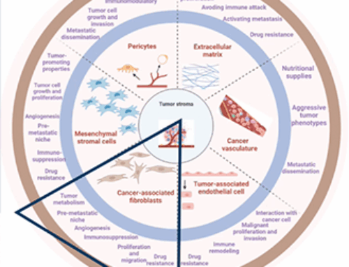 Imaging Cancer through the Stroma – FAPI PET/CT, a Novel Tracer in Oncology
