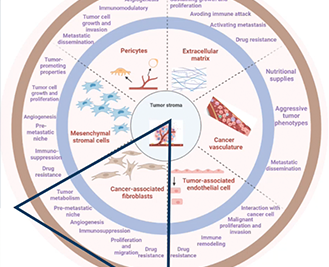 FAPI PET/CT, a Novel Tracer in Oncology