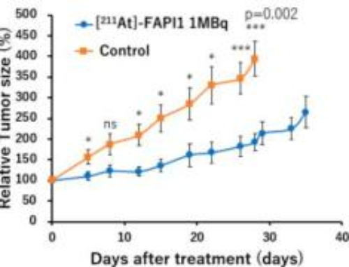 Evaluation of Targeted Alpha Therapy Using [211At]FAPI1 in Triple-Negative Breast Cancer Xenograft Models