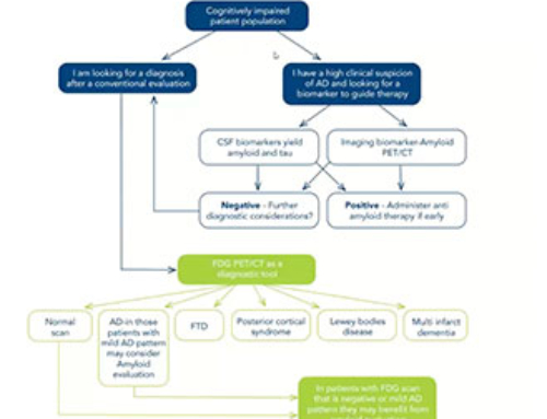 Amyloid Biomarker Imaging and FDG in the Era of an Approved Anti Amyloid Therapy