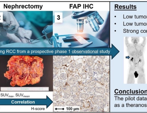 FAP Expression in Renal Tumors Assessed by [68Ga]Ga-FAPI-46 PET Imaging and FAP Immunohistochemistry: A Case Series of Six Patients