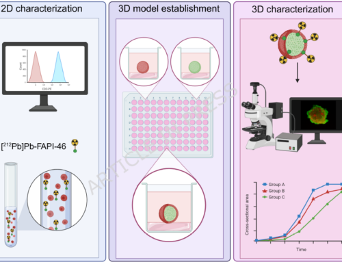 A 3D co-culture model with fibroblast-restricted FAP expression for cancer therapy using [212Pb]Pb-FAPI-46