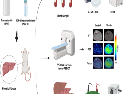 [68Ga]Ga-FAPI-46 PET enables non-invasive monitoring of hepatic fibrosis progression during TGF-β inhibition